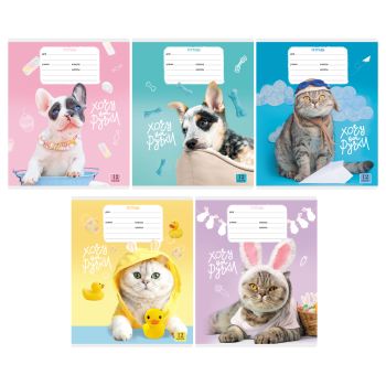 Тетрадь 12л., клетка BG 