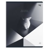 Тетрадь предметная 48л., BG "В гранях разума" - Физика, матовая ламинация