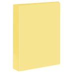 Папка на 4 кольцах СТАММ А4, 40мм, 500мкм, пластик, пастель, желтая