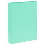Папка на 4 кольцах СТАММ А4, 40мм, 500мкм, пластик, пастель, мятная