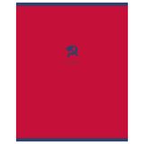 Тетрадь предметная 48л. BG "Monocolor. Element" - История, ламинация soft-touch, выб. лак, 70г/м2