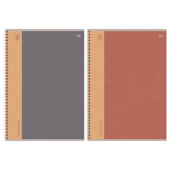 Тетрадь 96л., А4, клетка, на гребне BG 