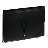 Папка-органайзер для хранения документов СТАММ А4, 25 отделений,  черный