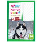 Картон белый А4, ArtSpace, 16 л., немелованный, в папке