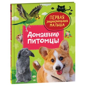 Энциклопедия Росмэн 167*220, 