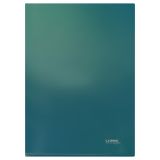 Папка-уголок СТАММ "Хамелеон" А4, 180мкм, пластик, непрозрачная, зеленый хамелеон